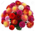 Adorno Con "Dahlia"